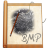 File BMP Icon